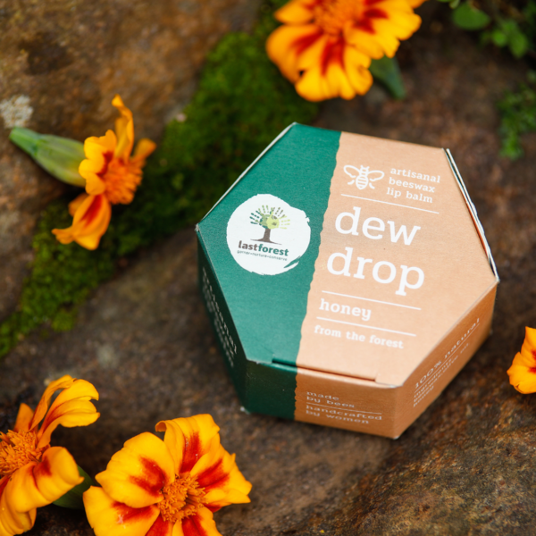 Honey Lip Balm (5 Grams)