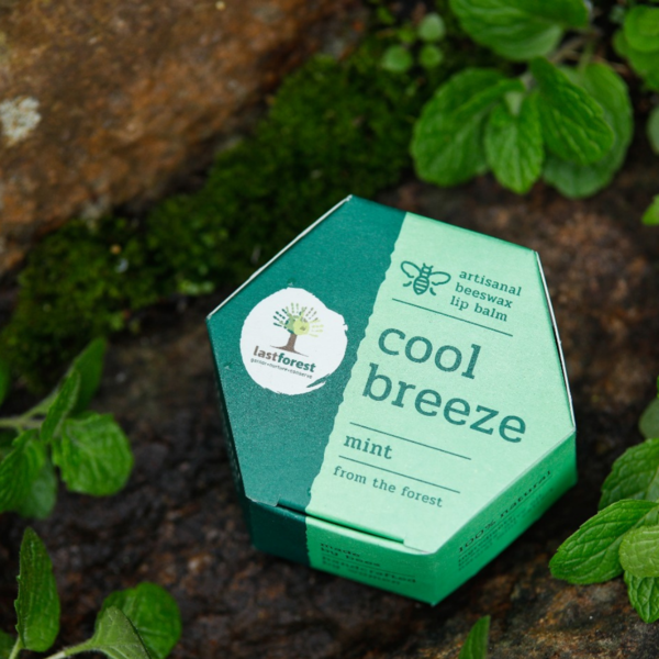 Mint Lip Balm (5 Grams)