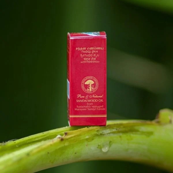 Tribes India Pure Sandalwood Oil – 2g (Natural, Tribal Handcrafted) | Tribes India