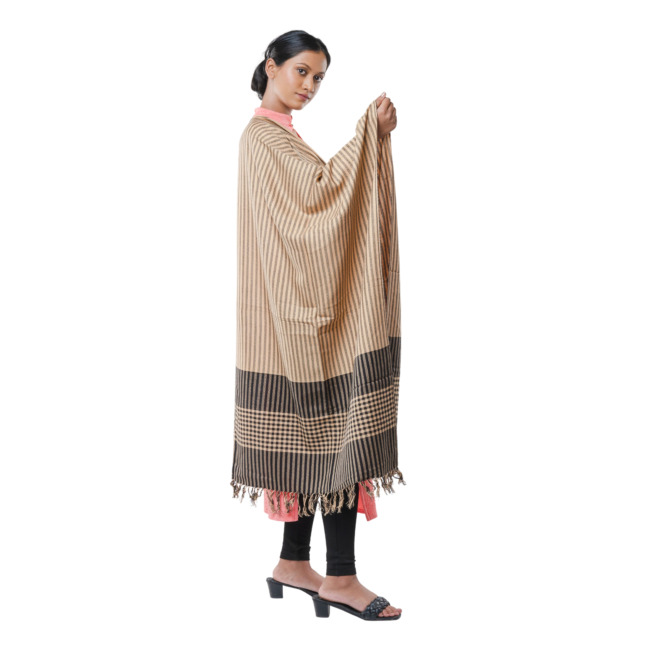 Handwoven Stole Pure Cotton Check