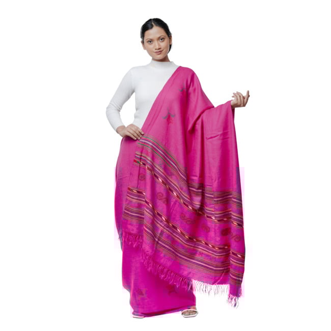 Handwoven Big design Saree