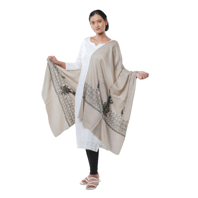 Handwoven Paizley Border Stole