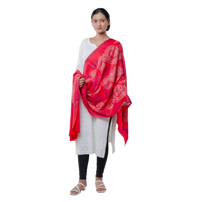 Handwoven Paizley All Over Stole