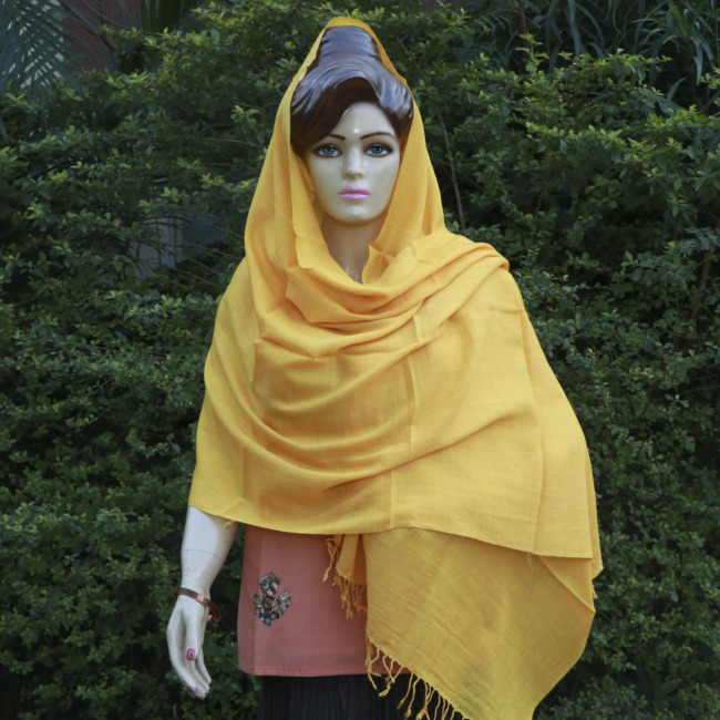 Woolen Ladies Stole