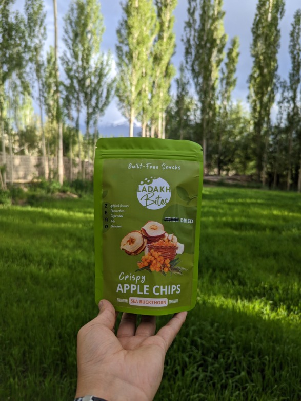 APPLE CHIPS SECBUCKTHORN 40 GM : OR(LADAKH BITES)